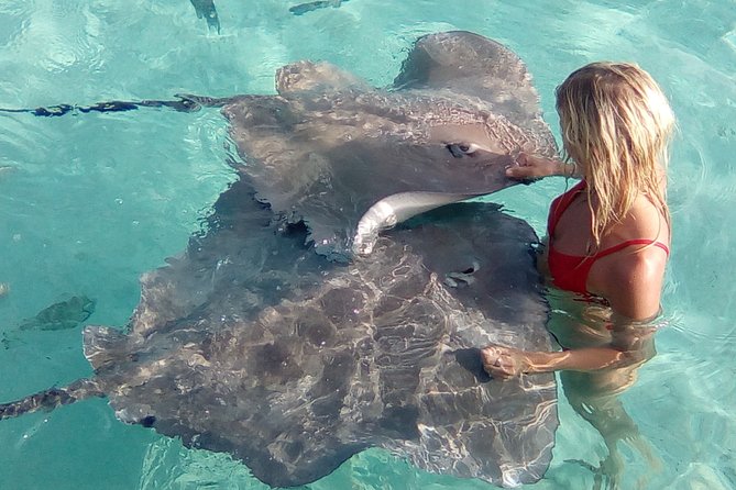 Best Way to Interact with Ocean Wildlife with Lunch. 6H - Price and value: what $174.02 buys you in real-world terms