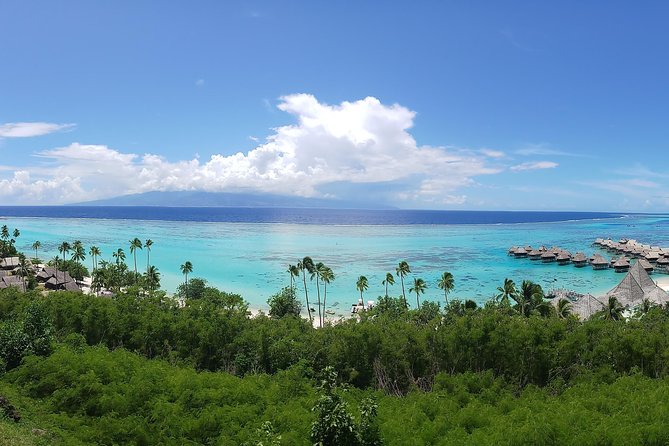 Blue Pearl Private Tour - Key moments that make this tour worth your time