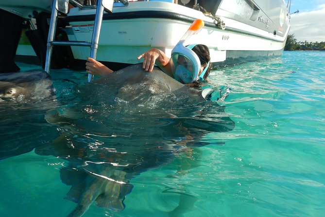 Boat tour 1/2 day Excursion in the lagoon of Moorea - Key highlights you’ll feel in your own day