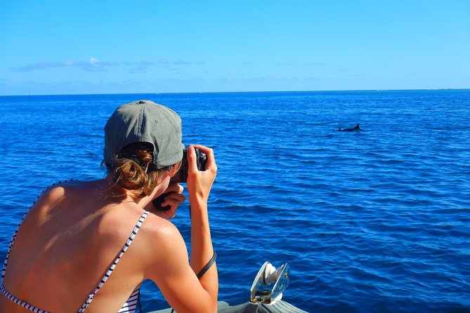 Boat tour 1/2 day Excursion in the lagoon of Moorea - Turtle sightings and other sea life you might get lucky with
