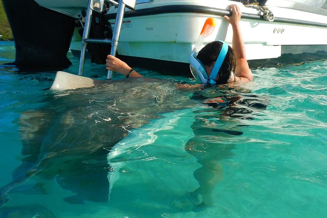 Boat tour 1/2 day Excursion in the lagoon of Moorea - What you should do if you prefer the boat seat