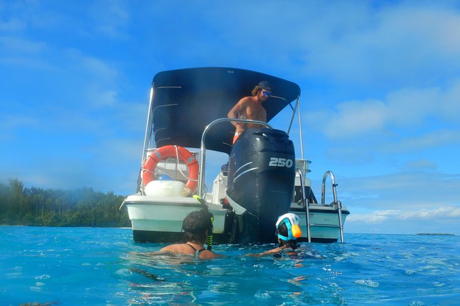 Boat tour 1/2 day Excursion in the lagoon of Moorea - Price and time: is $121.46 good value for this 4-hour-plus outing?