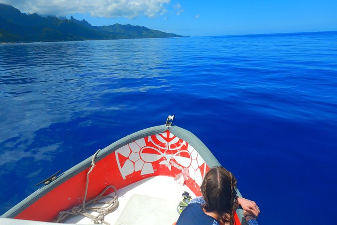 Boat tour 1/2 day Excursion in the lagoon of Moorea - Sailing Moorea’s north coast: why Cook and Opunohu bays are more than postcard views