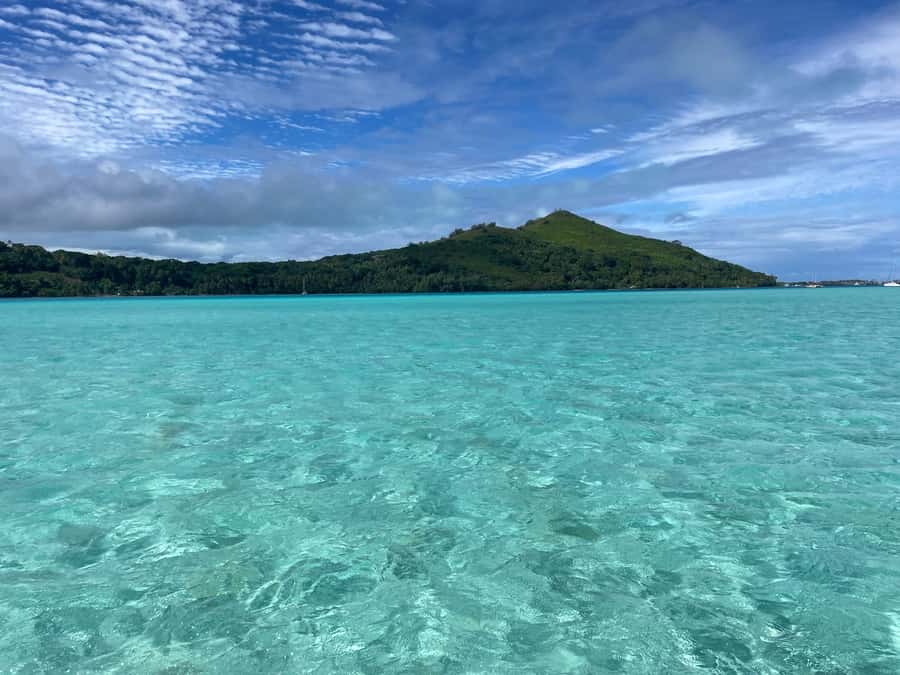 Bora Bora: 1/2 day lagoon safari - Shared tour - Third stop: more wildlife viewing and a “don’t blink” finale