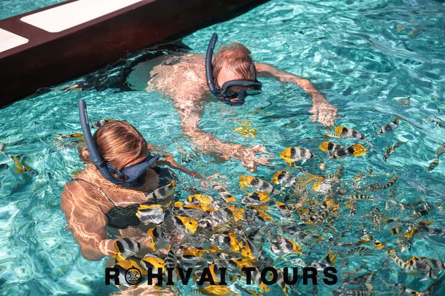 Bora Bora: 1/2 day lagoon safari - Shared tour - Pickup and getting to the boat: how to avoid the first-time stress