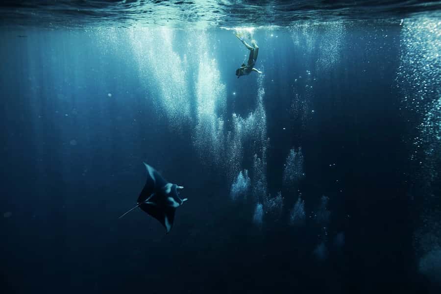 Bora Bora: 3.5-Hour Lagoon Boat Tour with Snorkeling - Stop one goal: the manta ray feeding ground
