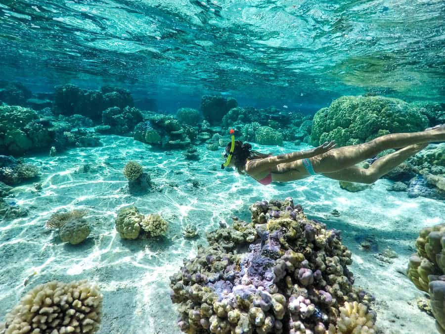 Bora Bora: 3.5-Hour Lagoon Boat Tour with Snorkeling - Getting on the water: pickup timing and what the 3.5 hours means