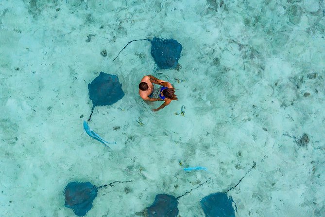 Bora Bora 4WD Tour & Eco Shark & Ray Snorkel Cruise - Key Points You Should Know Before You Go
