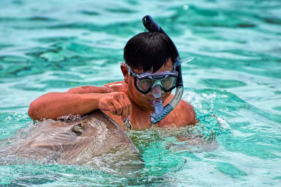 Bora Bora: 4x4 Safari with Snorkelling Combo Tour - Morning 4x4 Safari: Faanui Valley, Lookouts, and WWII Remnants