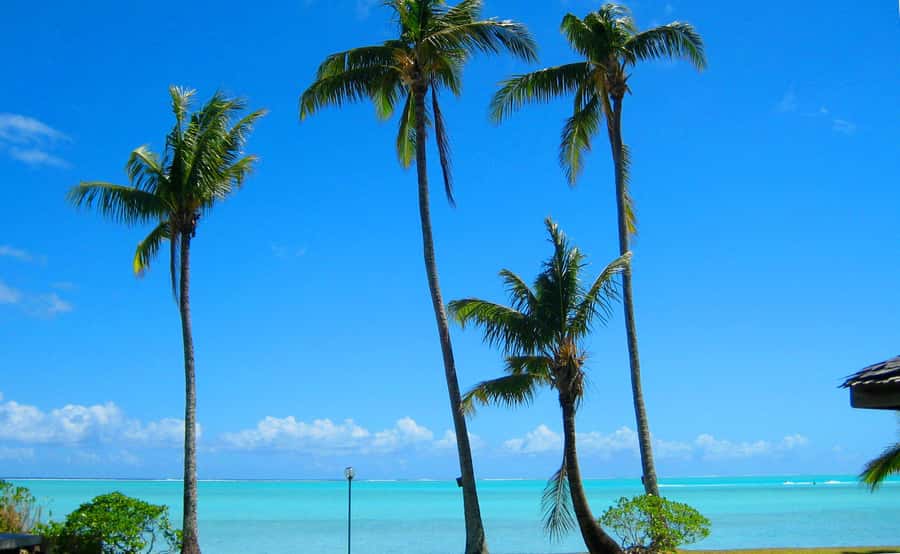 Bora Bora: 4x4 Safari with Snorkelling Combo Tour - Lunch on the Island: BBQ, Ceviche, and Local Fruit