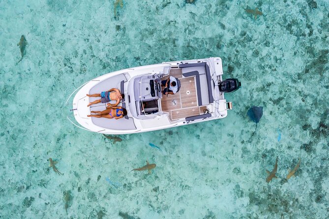 Bora Bora adventure Private Combo Jet Ski and Eco Sharks Snorkel - Key Highlights You Can Feel in Your Day