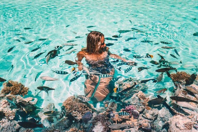 Bora Bora adventure Private Combo Jet Ski and Eco Sharks Snorkel - A Private Combo That Makes Bora Bora Feel Like One Big Loop