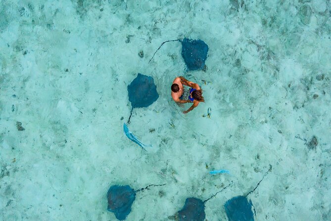 Bora Bora adventure Private Combo Jet Ski and Eco Sharks Snorkel - Jet Skiing Bora Bora Lagoon: The Fun Part, Without the Chaos