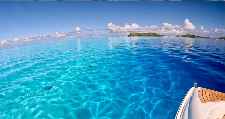 Bora Bora: Blue Lagoon Cruise, Snorkeling and Lunch . - Motu Lunch: The Best Break in the Middle of a Marine Day
