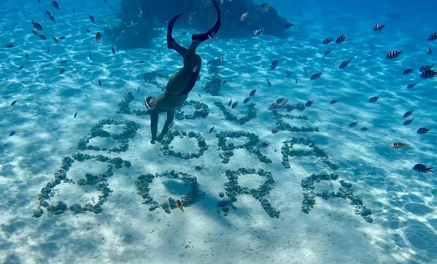 Bora Bora: Blue Lagoon Cruise, Snorkeling and Lunch . - Best-Case Moments to Aim For, Based on Real Experiences