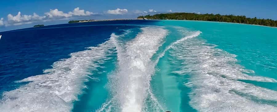 Bora Bora: Blue Lagoon Cruise, Snorkeling and Lunch . - Tuiva’s Crew, and Why the Guides Matter When Wildlife Is Nearby