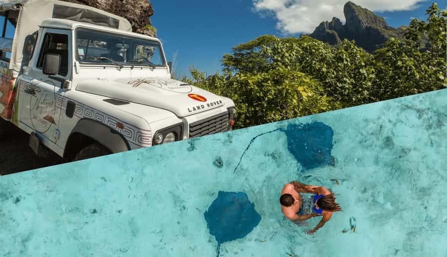 Bora Bora by Land and Sea: 4WD Safari and Snorkel - Quick hits for this Bora Bora land and sea day