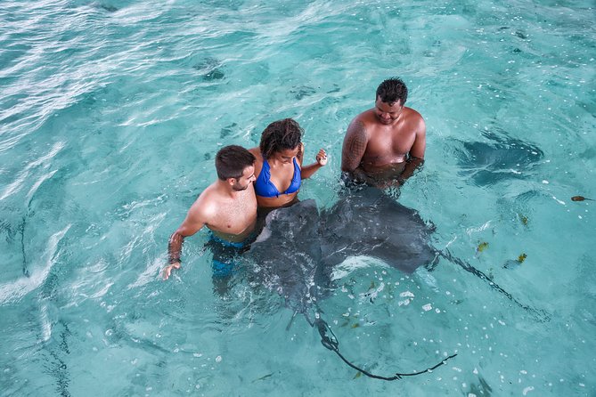 Bora Bora Eco Snorkel Cruise Including Snorkeling with Sharks and Stingrays - Key highlights at a glance