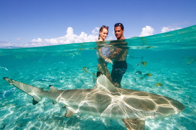 Bora Bora Eco Snorkel Cruise Including Snorkeling with Sharks and Stingrays - Guides and safety: why the staff you get can make or break the day