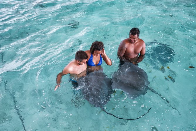 Bora Bora Eco Snorkel Cruise Including Snorkeling with Sharks and Stingrays - What’s included, and what you should bring anyway