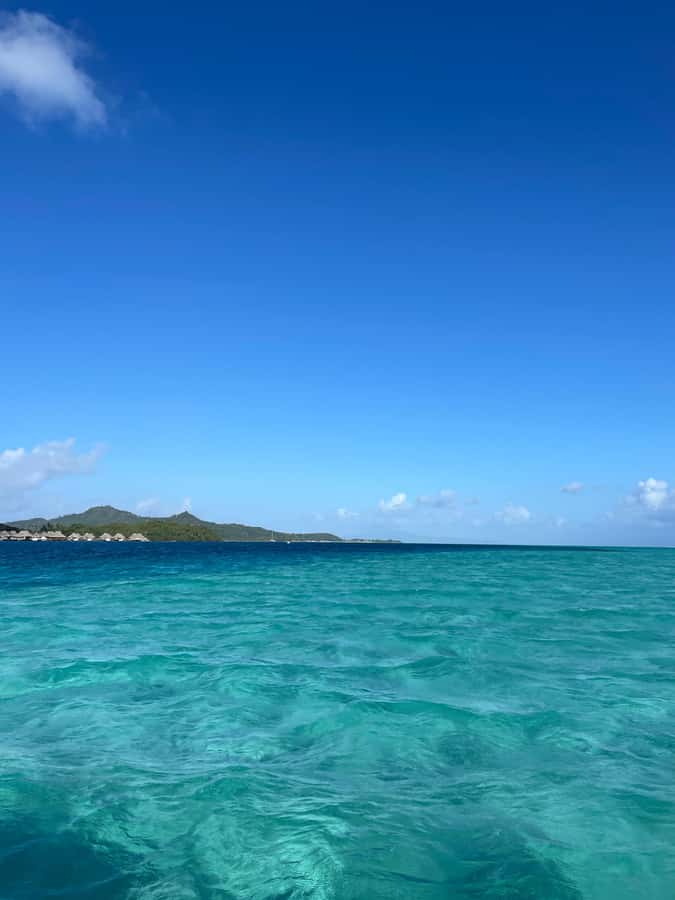 Bora Bora: Full day Lagoon Safari & Lunch on a Motu - ST - Who this tour suits best, and who should skip it