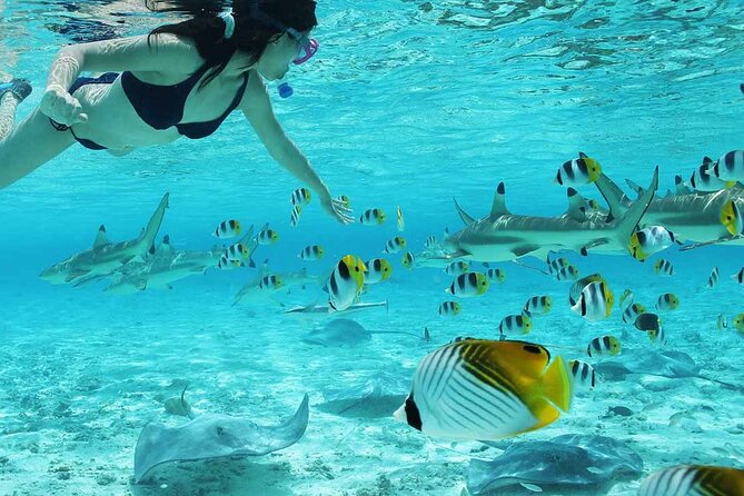 Bora Bora Full Day Snorkeling with Lunch - Anau manta ray hour: how to maximize your chances