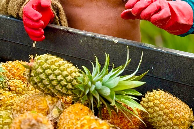 Bora Bora Gourmet Odyssey - Food Tour - What you actually eat, and how to get the most out of it