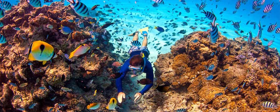 Bora Bora: Half Day Catamaran Sailing & Snorkelling - Key highlights worth your time