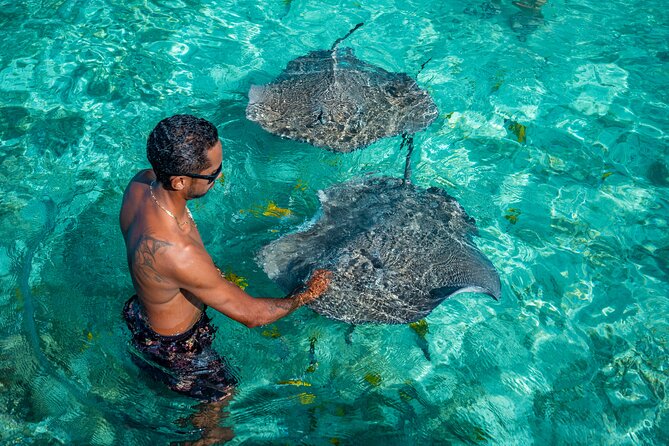 Bora Bora Half Day Snorkeling - Bora Bora Manu Lagoon Snorkeling: What You’re Really Buying
