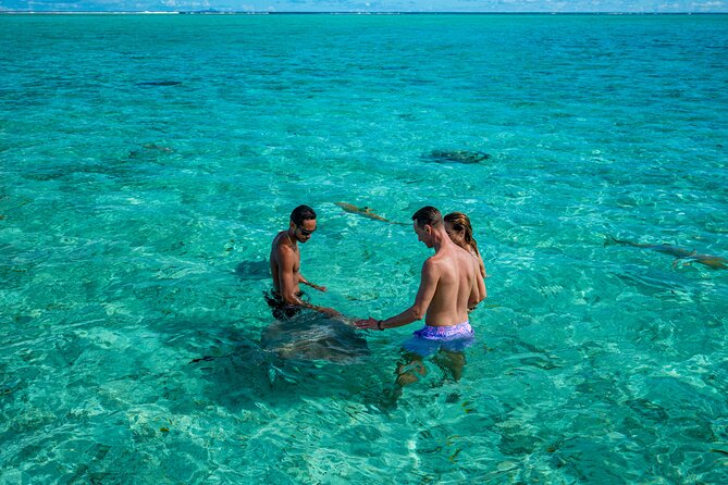 Bora Bora Half Day Snorkeling - Price and Value: Is $111.75 Worth a Half-Day?