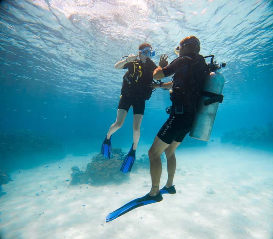 Bora Bora: Introductory Dive - Bora Bora’s Intro Scuba Lesson: The Real Appeal