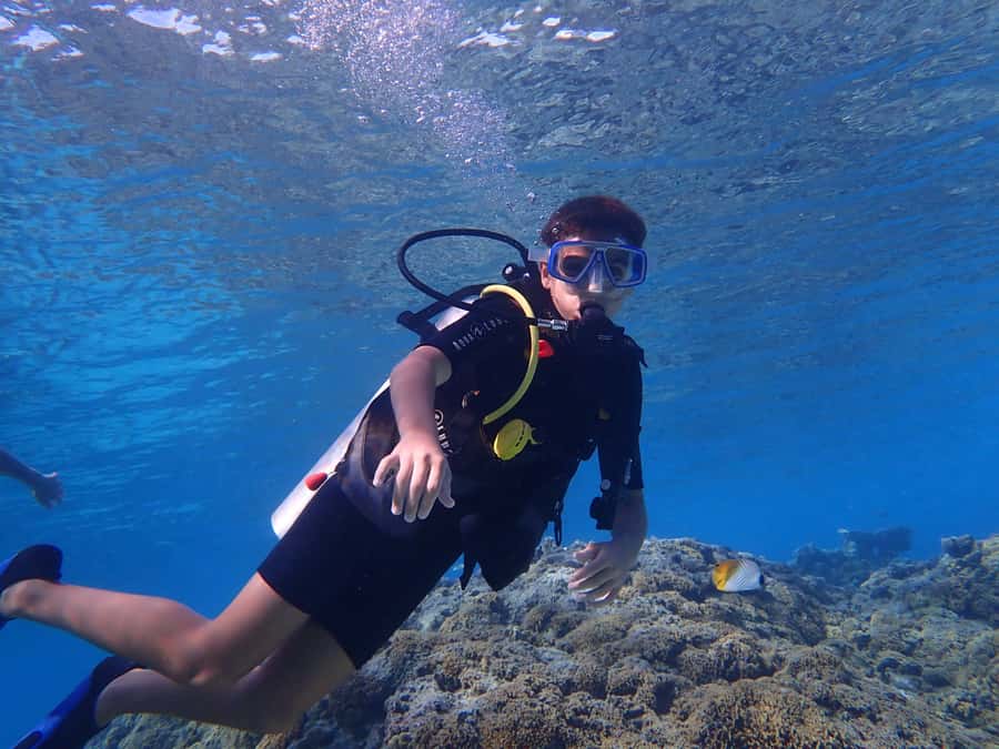 Bora Bora: Introductory Dive - The 2-Hour Flow: Training, Then Your Lagoon Time