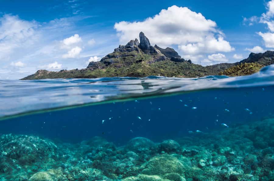 Bora Bora: Introductory Dive - Safety Fit: Who This Is For, and Who Should Skip It