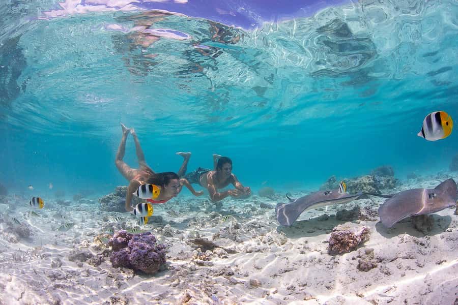 Bora Bora: Jet Ski, Lunch & Shark/ Ray Safari - Motu Stops and the Coconut Moment You Should Pay Attention To