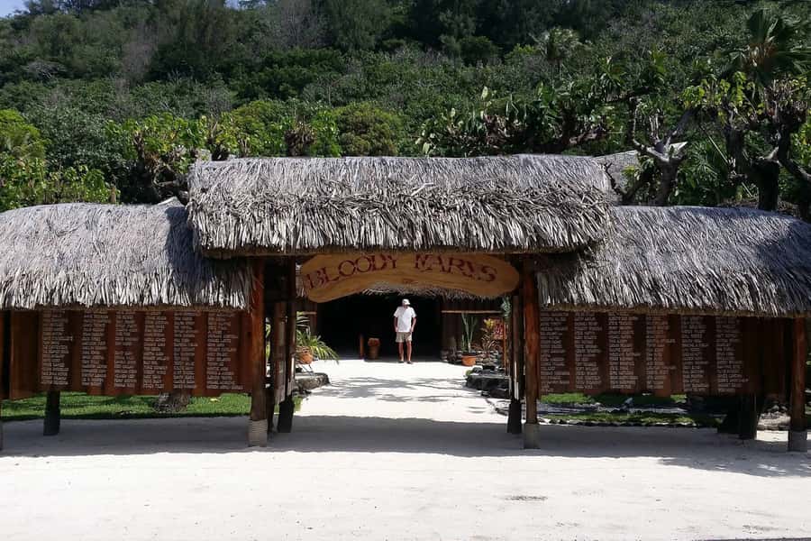 Bora Bora: Jet Ski, Lunch & Shark/ Ray Safari - Snorkeling and Swimming Time: How to Make the Most of It
