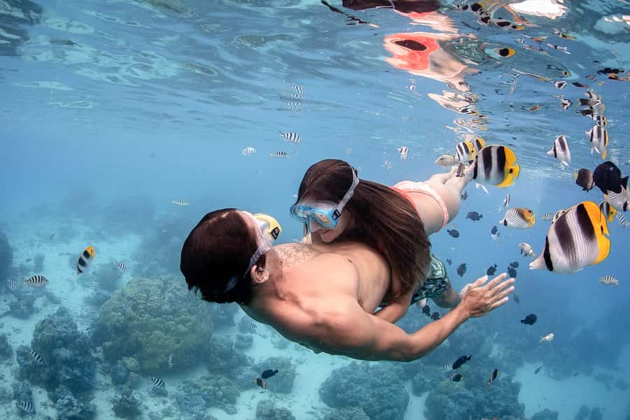 Bora Bora: Jet Ski, Lunch & Shark/ Ray Safari - Small Group, Big Attention: What Max 8 Really Changes