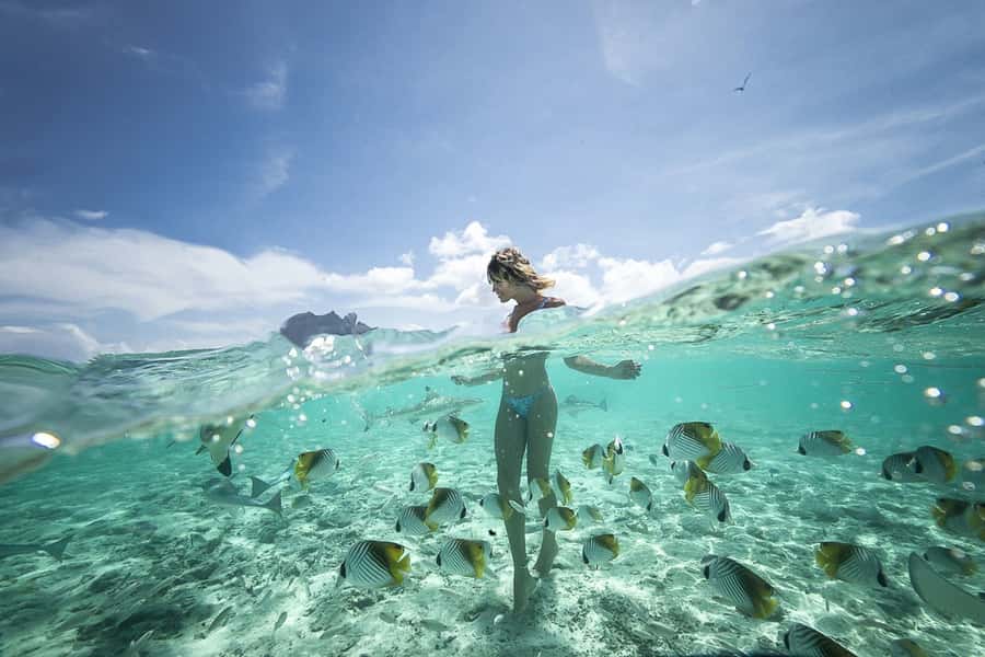 Bora Bora: Jet Ski, Lunch & Shark/ Ray Safari - The Jet Ski Portion: From Safety Briefing to Mount Otemanu Views