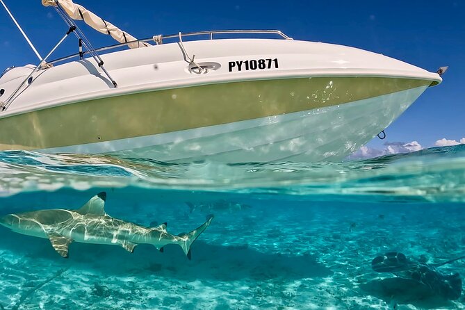 Bora Bora Jet Ski Tour, & Eco Shark / Ray Snorkel Cruise - Lunch at Lucky House Fare Manuia After the Switch