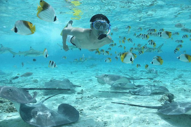 Bora Bora Jet Ski Tour, & Eco Shark / Ray Snorkel Cruise - How to Make It Comfortable: Gear, Comfort, and Safety Checks