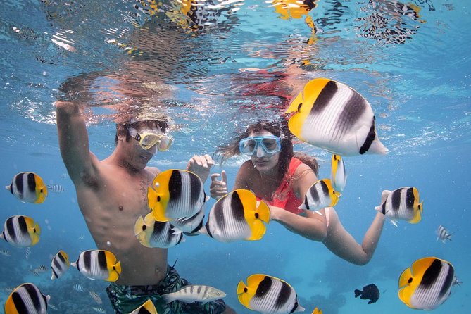 Bora Bora Jet Ski Tour, & Eco Shark / Ray Snorkel Cruise - 9:00 am Pickup, Safety Briefing, and What to Bring