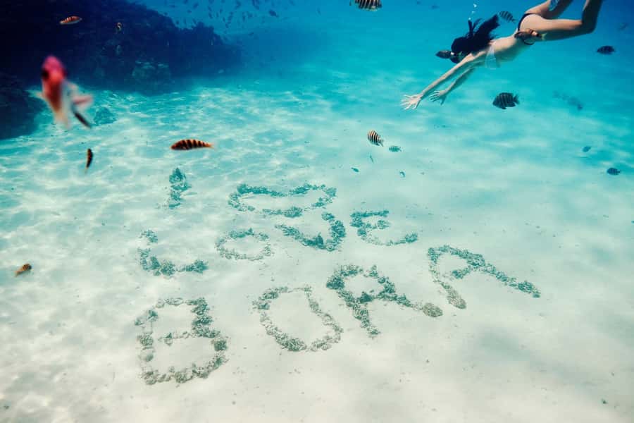 Bora Bora: Lagoon Tour and Snorkeling Experience - Why this Bora Bora snorkeling feels special, stingrays to docile sharks