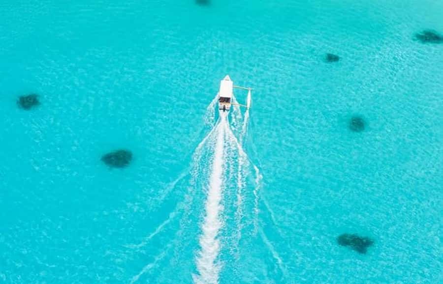 Bora Bora: Lagoon Tour and Snorkeling Experience - Stop 2: the best-preserved coral garden, colorful fish and reef care