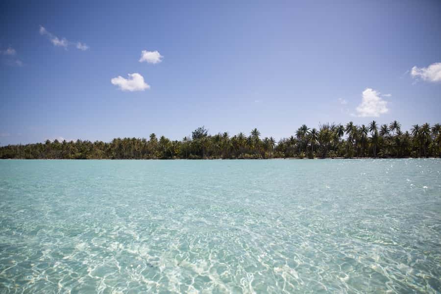 Bora Bora: Lagoon Tour and Snorkeling Experience - Sandbank refuel with coconut bread, fruit, and Mount Otemanu views