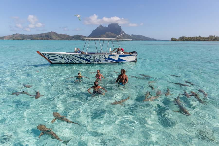 Bora Bora: Lagoon Tour and Snorkeling Experience - Price and value, what you actually get for $138 per person