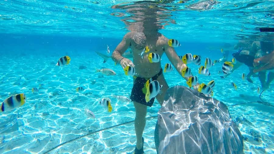 Bora Bora: Lagoon Tour and Snorkeling Experience - What to bring, and how to be comfortable for 4 hours on the water