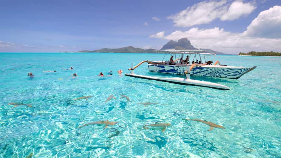 Bora Bora: Lagoon Tour and Snorkeling Experience - Getting on board in Bora Bora, pickup and the outrigger ride