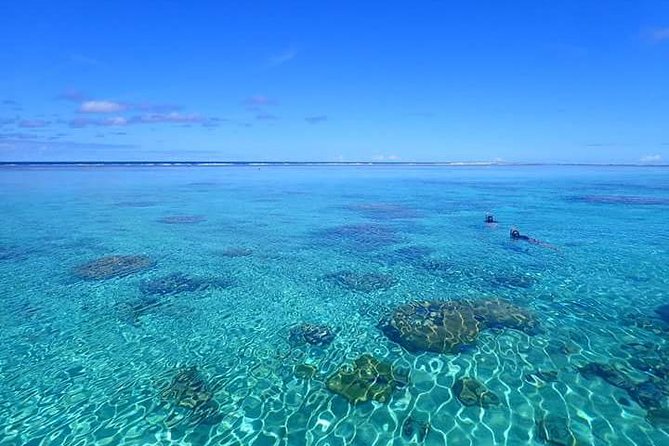 Bora Bora: Luxury Private Half Day Snorkeling Tour - How the Guide Turns Spotting Into a Real Plan