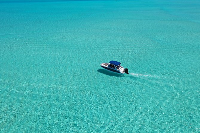 Bora Bora: Luxury Private Half Day Snorkeling Tour - Boat Comfort, Gear, Towels, and the Ladder Reality