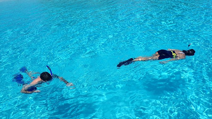 Bora Bora: Luxury Private Half Day Snorkeling Tour - Price and Value: Is $780 Worth It for a Private Snorkel Day?