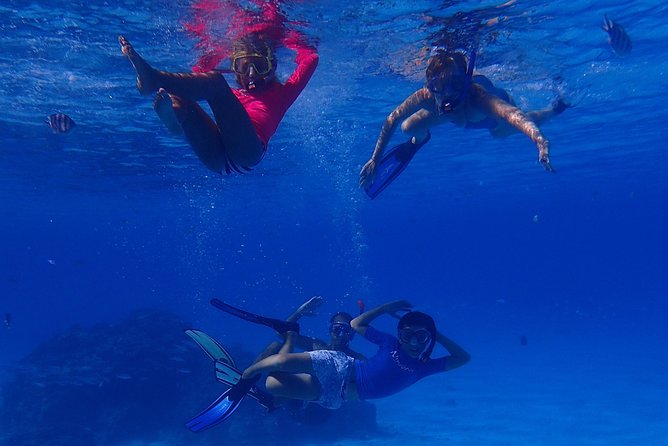 Bora Bora: Luxury Private Half Day Snorkeling Tour - Weather Matters More Than You Think